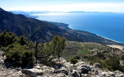Llogara & Qeparo Beach – Upon Request – Min 6