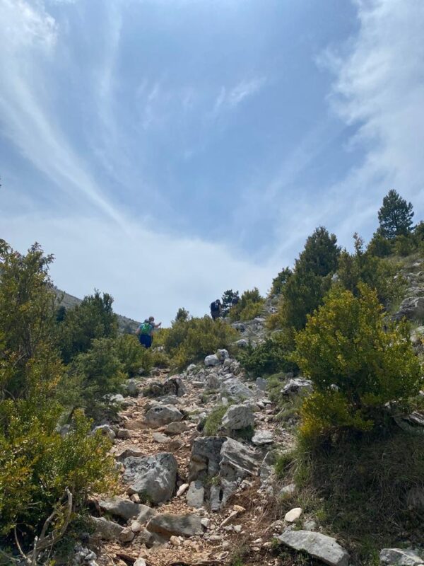 Llogara National Park - Hiking Tour - Image 2