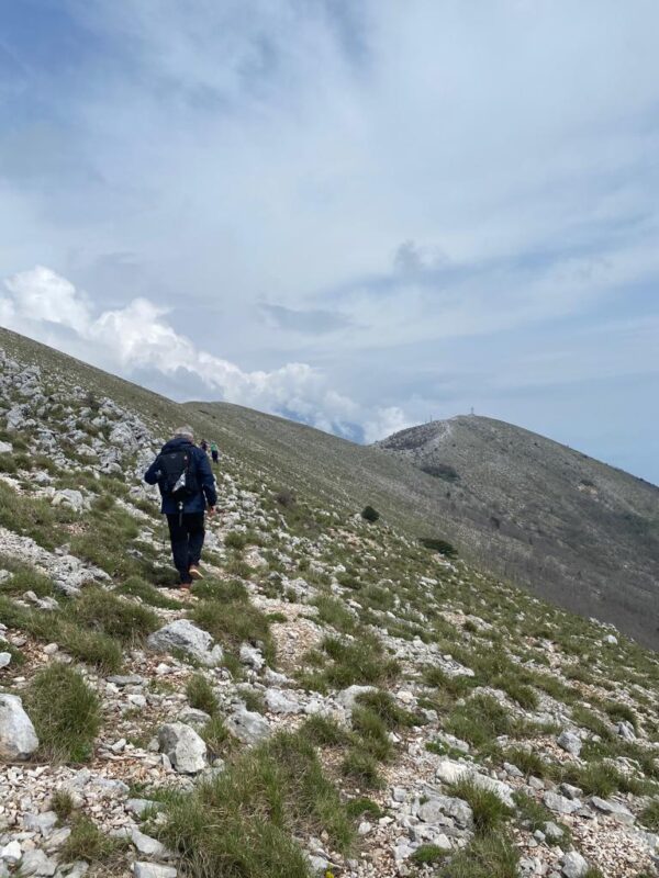 Llogara National Park - Hiking Tour - Image 3