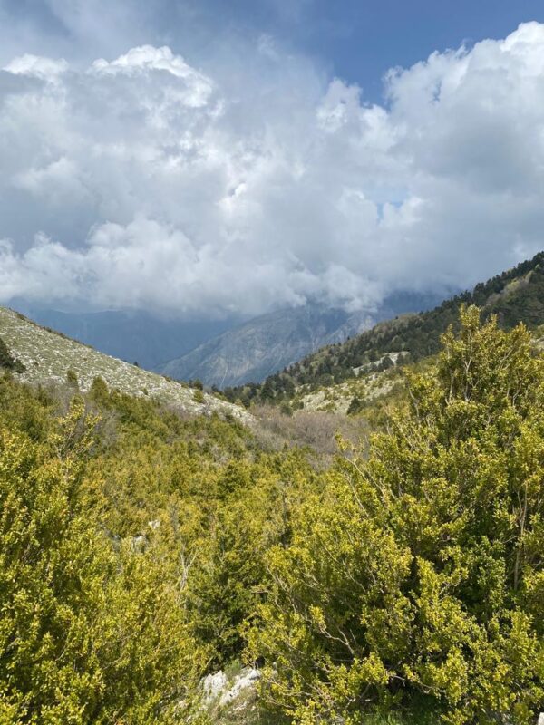 Llogara National Park - Hiking Tour - Image 4