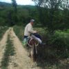 Kashar Hills - Image 4