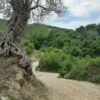 Kashar Hills - Image 3