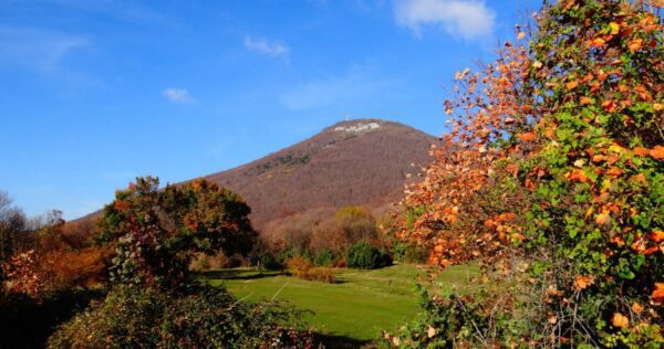 Mt. Dajti Trail - Group Tour - Image 3