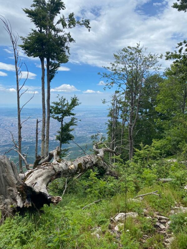 Mt. Dajti RIDGE - Group Hike