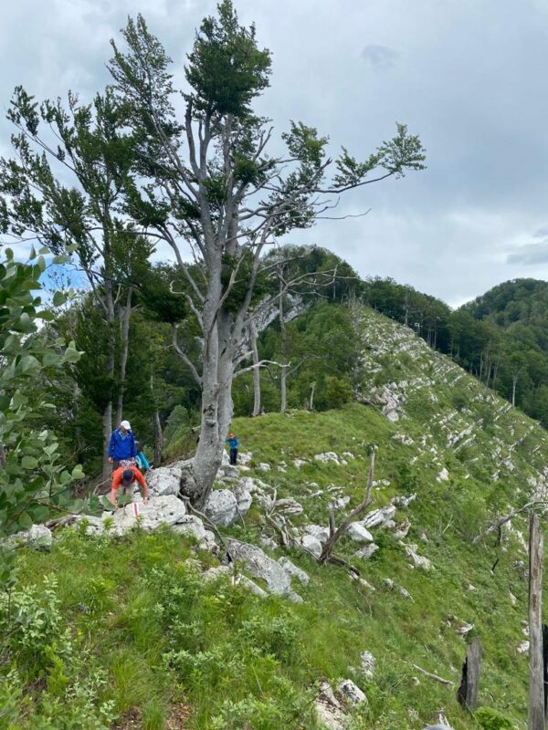 Mt. Dajti RIDGE - Group Hike - Image 3