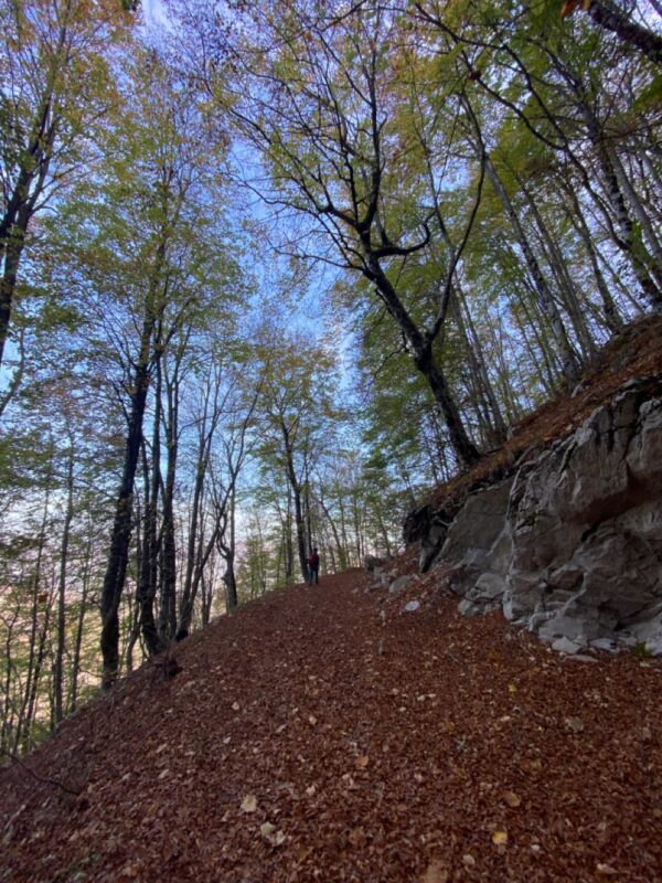 Mt. Tujan Belt - Group Tour - Image 3