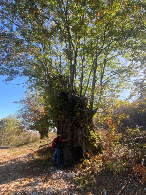 Mt. Tujan Belt - Group Tour - Image 2