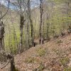 Mt. Shtogu - Group Tour - Image 2