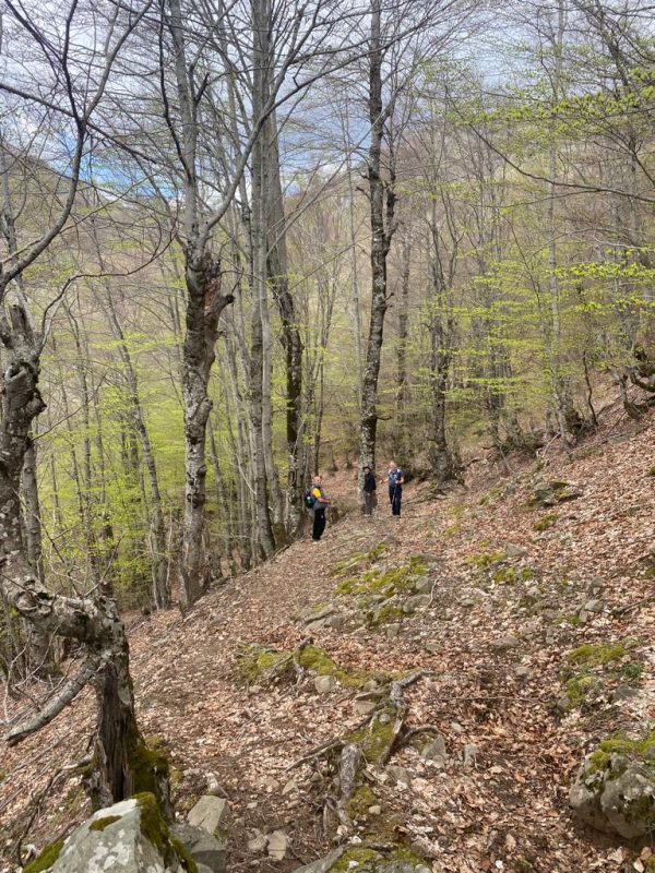 Mt. Shtogu - Group Tour - Image 2