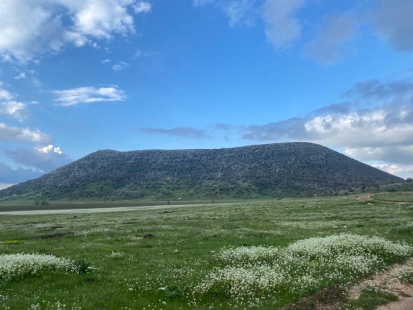 Cajupi Field - Group Tour - Image 4