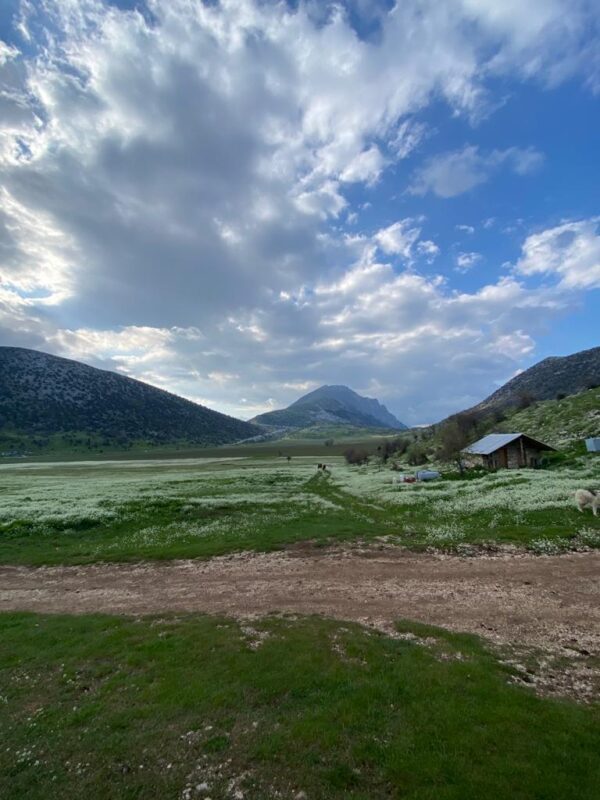 Cajupi Field - Group Tour - Image 5