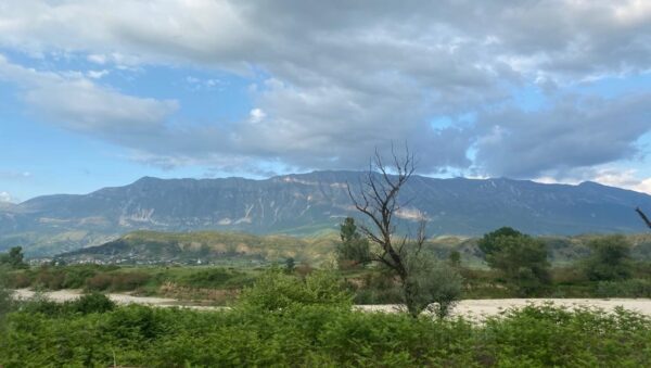 Cajupi Field - Group Tour - Image 2