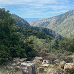 South Coast hiking, rocky hills with trees and bushes. south of Albania.