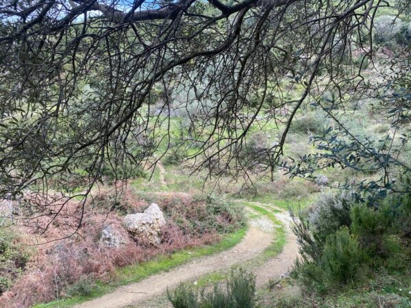 Sound of Silence - Weekend Retreat - Image 7