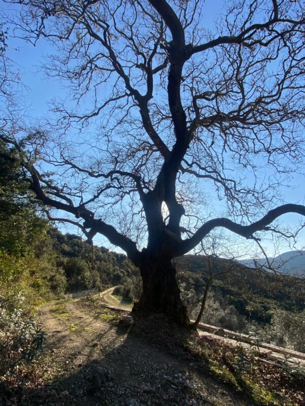 Sound of Silence - Weekend Retreat - Image 4