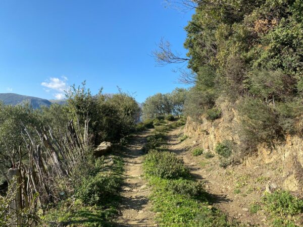 Sound of Silence - Weekend Retreat - Image 3